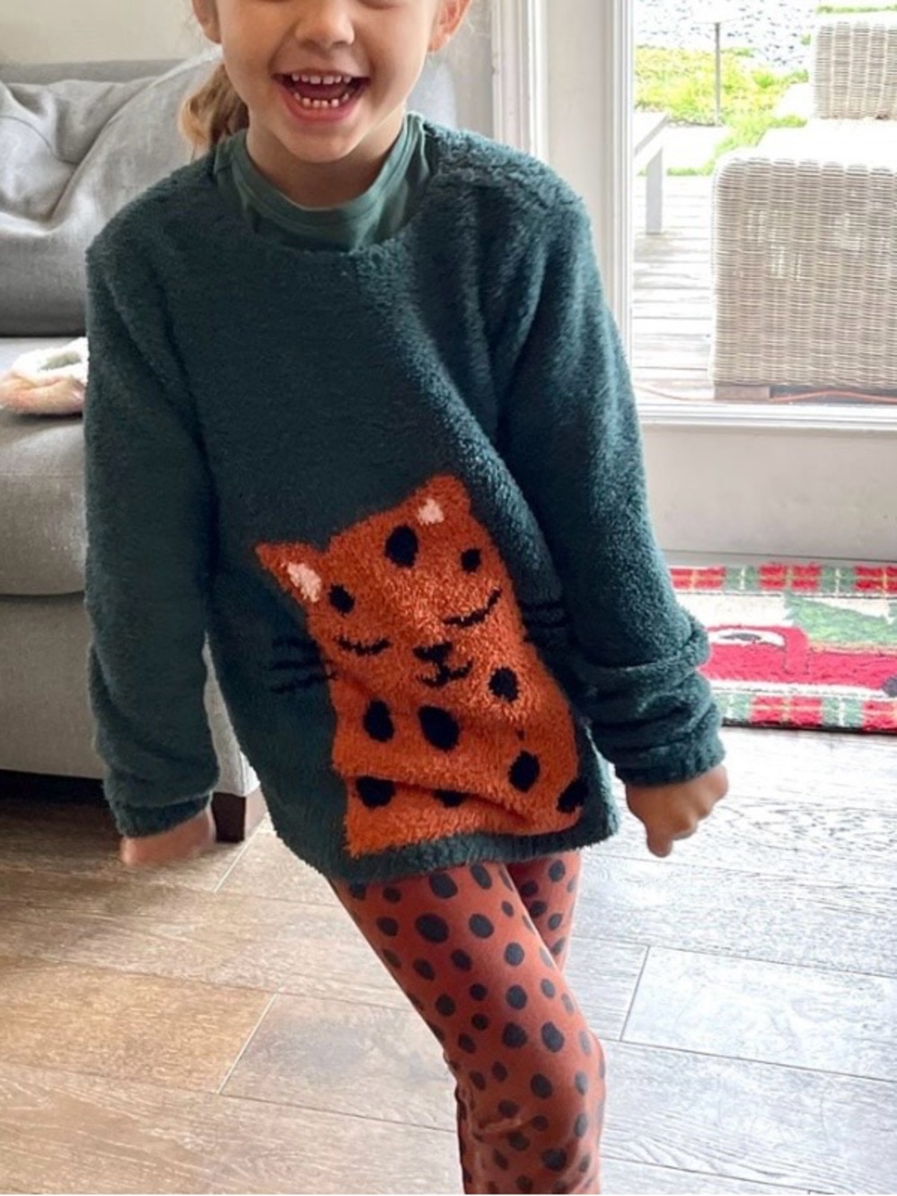Hanna Andersson | Teal Plush Long-Sleeve Marshmallow Sweater | Cat Motif | 6-7